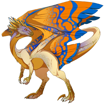 Unnamed dragon