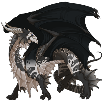 Unnamed dragon