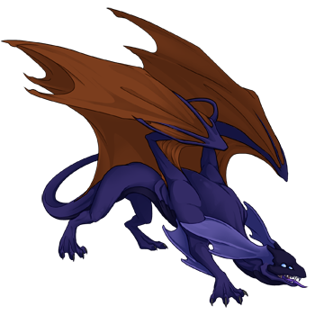 Unnamed dragon