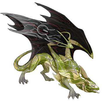 Unnamed dragon