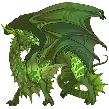 Unnamed dragon