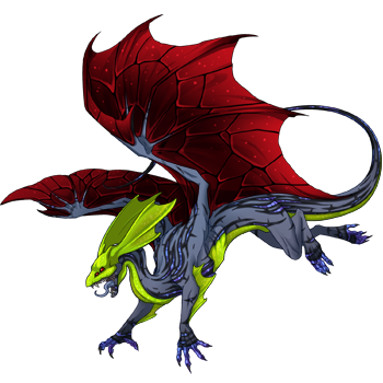 Unnamed dragon