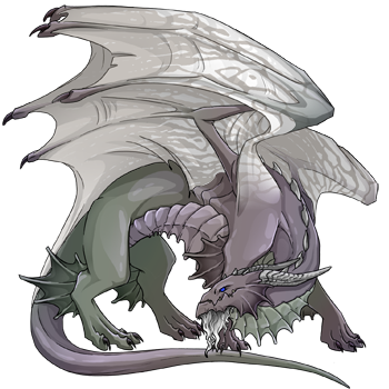 Unnamed dragon