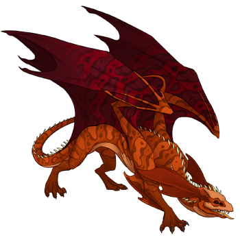 Unnamed dragon