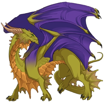 Unnamed dragon