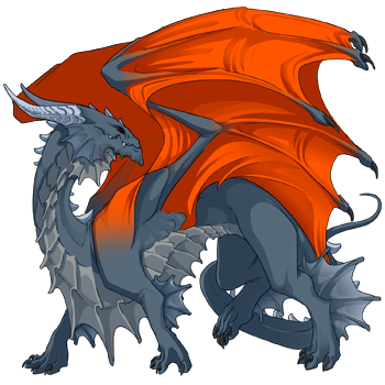 Unnamed dragon