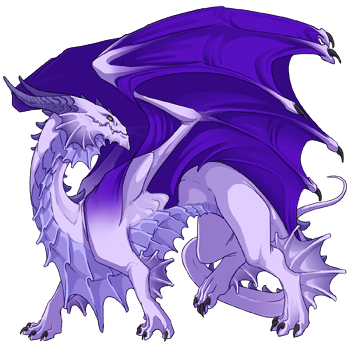 Unnamed dragon