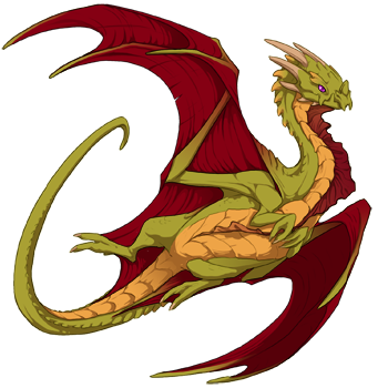 Unnamed dragon