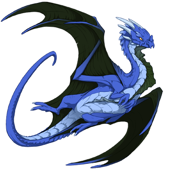 Unnamed dragon