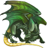 Unnamed dragon