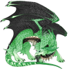 Unnamed dragon