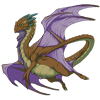 Unnamed dragon