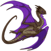 Unnamed dragon