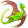 Unnamed dragon