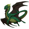 Unnamed dragon