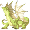 Unnamed dragon