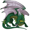 Unnamed dragon