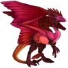 Unnamed dragon