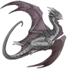 Unnamed dragon