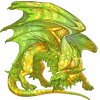 Unnamed dragon