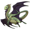 Unnamed dragon