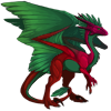 Unnamed dragon