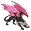 Unnamed dragon