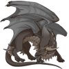 Unnamed dragon