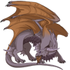 Unnamed dragon