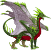 Unnamed dragon