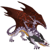 Unnamed dragon