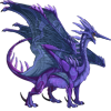 Unnamed dragon