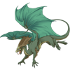 Unnamed dragon