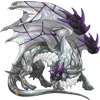 Unnamed dragon