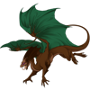 Unnamed dragon