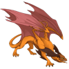 Unnamed dragon