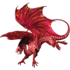 Unnamed dragon