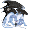 Unnamed dragon