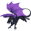 Unnamed dragon