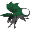 Unnamed dragon