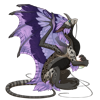 Unnamed dragon