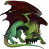 Unnamed dragon