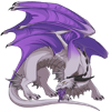 Unnamed dragon