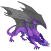 Unnamed dragon