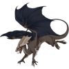 Unnamed dragon