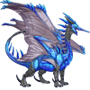 Unnamed dragon