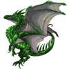 Unnamed dragon