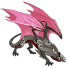 Unnamed dragon