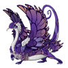 Unnamed dragon