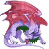 Unnamed dragon